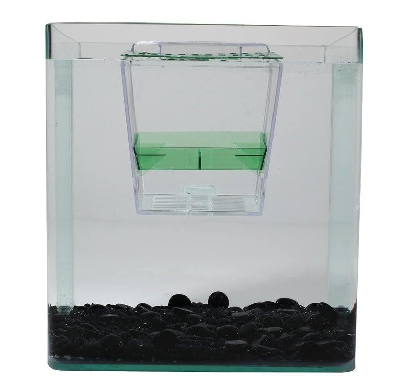 Penn Plax Penn-Plax Breed and Show Nursery Fish Tank - Image 5