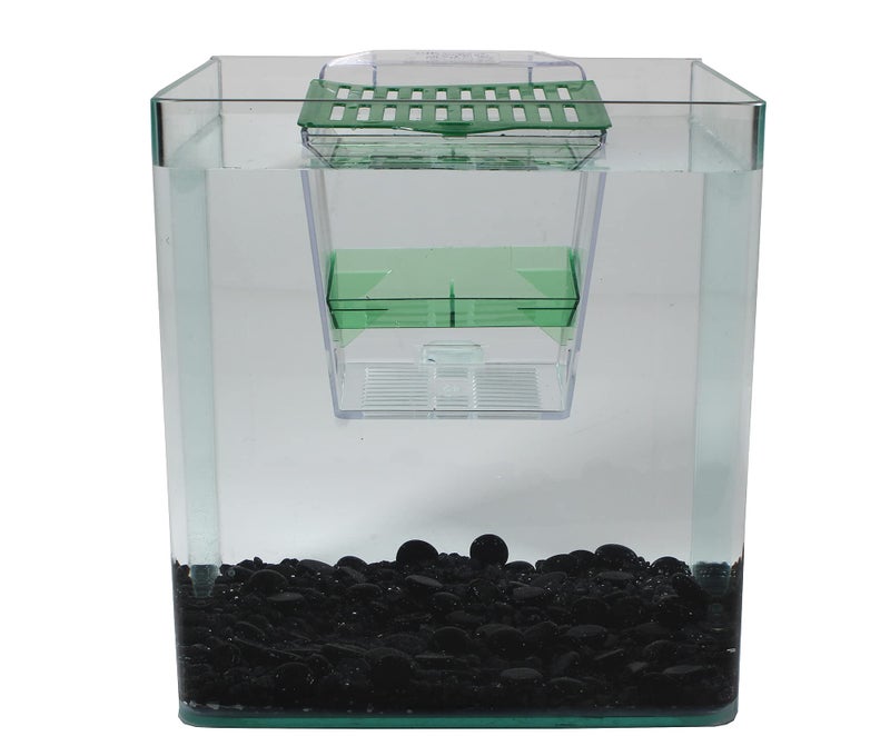 Penn Plax Penn-Plax Breed and Show Nursery Fish Tank - Image 4