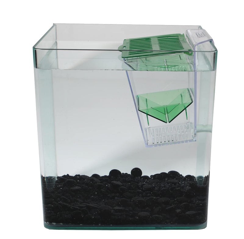 Penn Plax Penn-Plax Breed and Show Nursery Fish Tank - Image 3