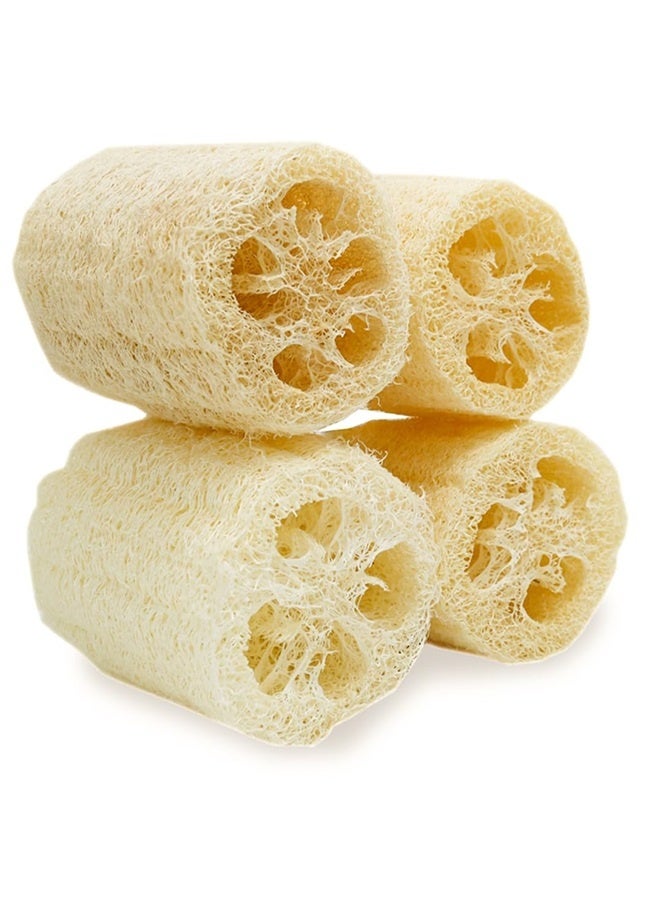 4 بوصة ( حوالي 10 سم ) الطبيعية الإسفنج الإسفنج الإسفنج الإسفنج الإسفنج الإسفنج الإسفنج الإسفنج النباتية العضوية اللب ، الرجال والنساء العناية بالبشرة حمام تنظيف الظهر والوجه ، الإسفنج الطبيعي ، 4 قطعة - Image 1