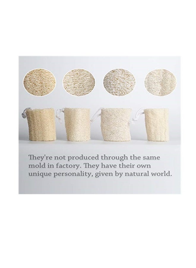 4 بوصة ( حوالي 10 سم ) الطبيعية الإسفنج الإسفنج الإسفنج الإسفنج الإسفنج الإسفنج الإسفنج الإسفنج النباتية العضوية اللب ، الرجال والنساء العناية بالبشرة حمام تنظيف الظهر والوجه ، الإسفنج الطبيعي ، 4 قطعة - Image 3