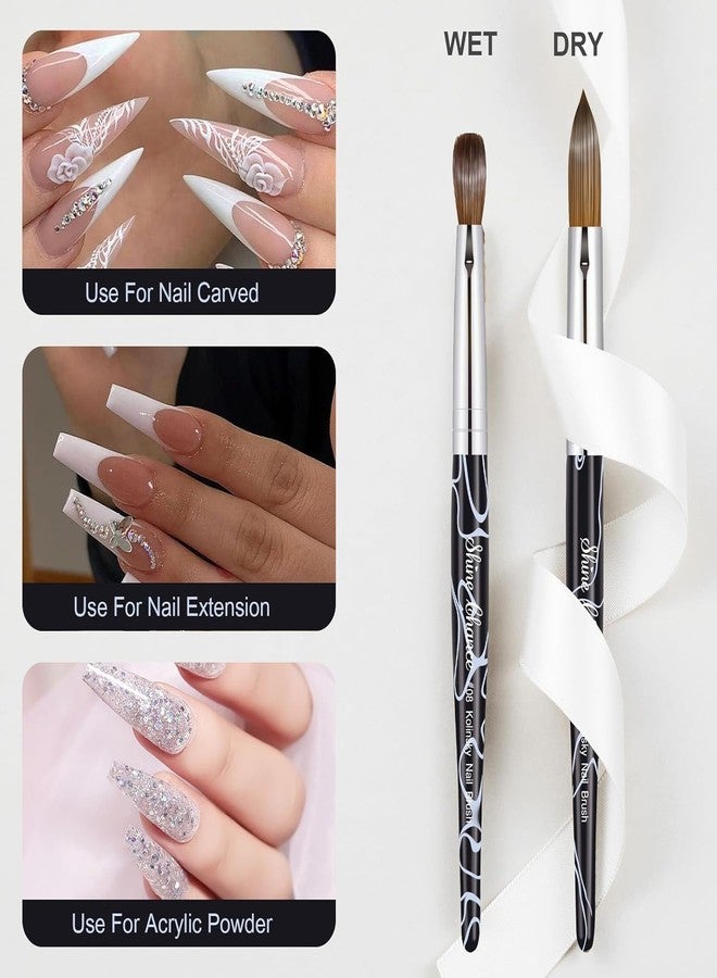 Shine Chance Acrylic Nail Art Brush Size 20, 100% Pure Kolinsky Hair Oval Nail Brush for Acrylic Application, Professional Nail Extension Manicure Tool Striping Nail Drawing Pen for DIY Home Salon - Image 3
