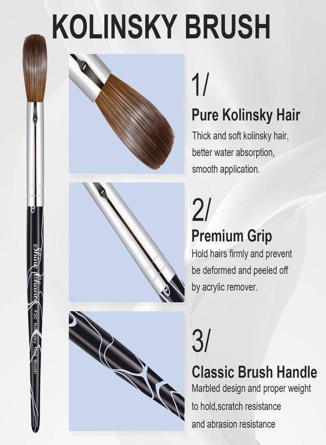 Shine Chance Acrylic Nail Art Brush Size 20, 100% Pure Kolinsky Hair Oval Nail Brush for Acrylic Application, Professional Nail Extension Manicure Tool Striping Nail Drawing Pen for DIY Home Salon - Image 5