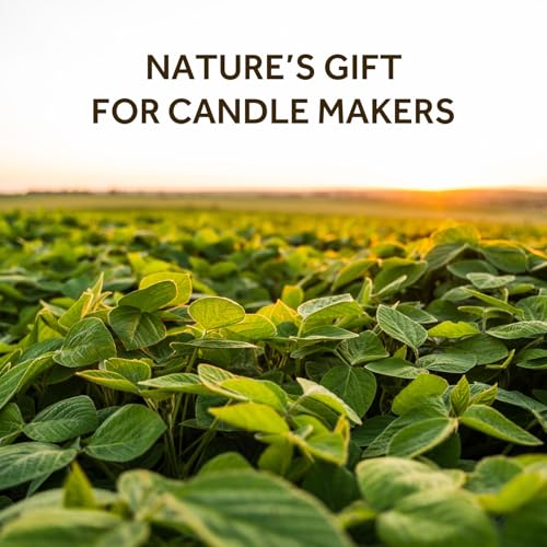 NORVENCE Soy Wax for Candle Making, Natural Soy Wax Flakes 10lb, Premium Candle Wax for DIY Candle Crafting - Image 2