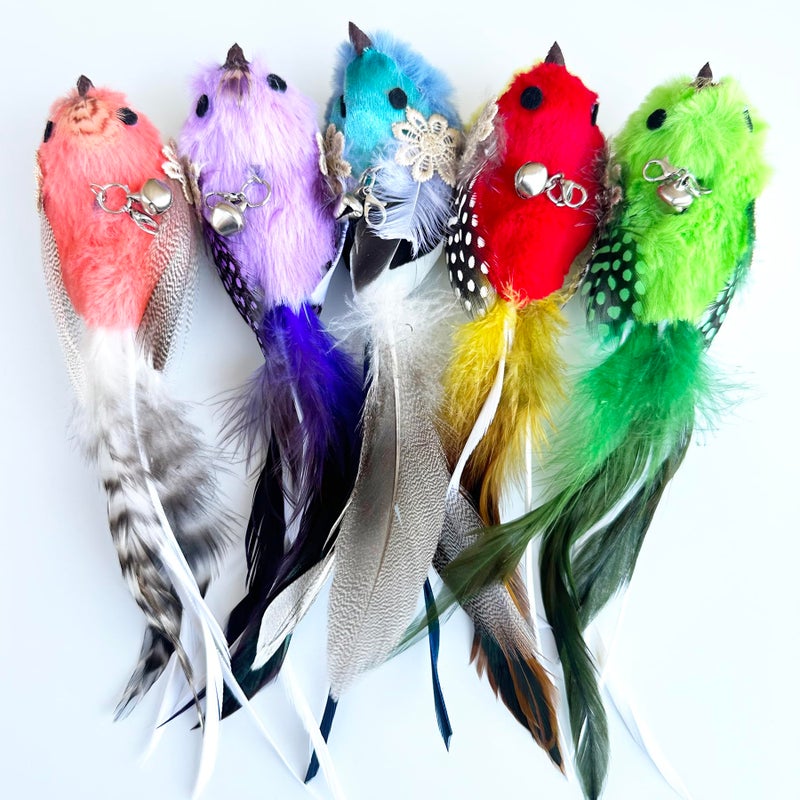 CATENEED Cat Feather Toys Refill, 5 Pieces Cat Wand Attachments Feathers, Cat Wand Replacement Bird Feather Toy for Indoor Cats - Image 4