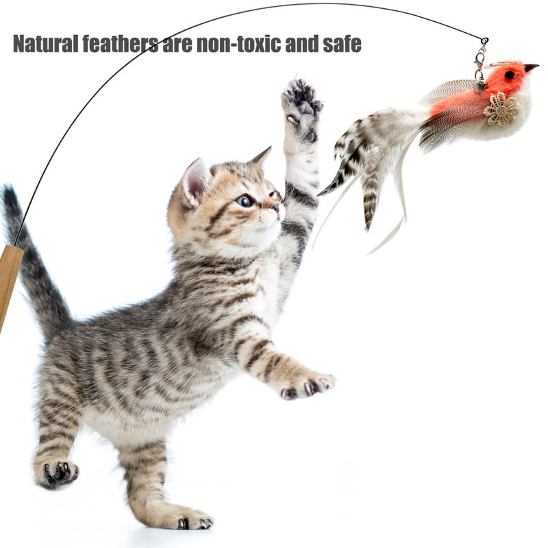 CATENEED Cat Feather Toys Refill, 5 Pieces Cat Wand Attachments Feathers, Cat Wand Replacement Bird Feather Toy for Indoor Cats - Image 2