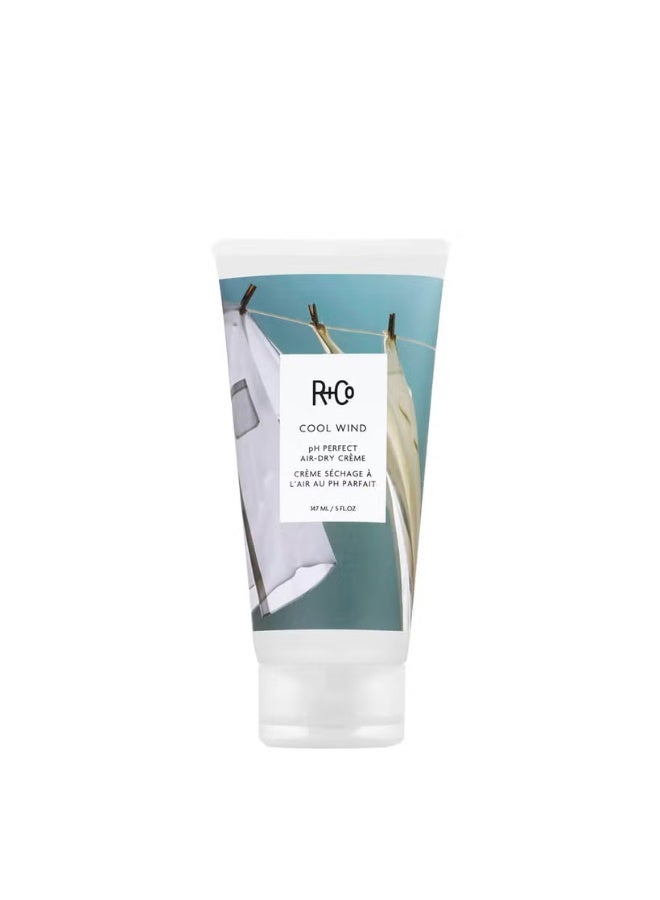R+Co COOL WIND pH Perfect Air-Dry Creme 147ml - Image 1