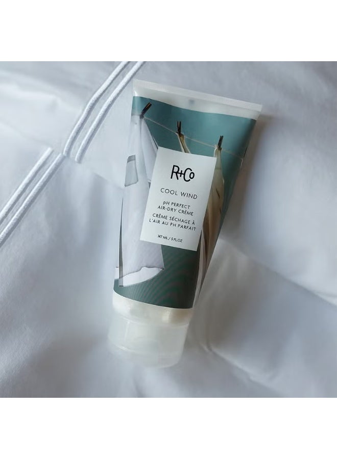 R+Co COOL WIND pH Perfect Air-Dry Creme 147ml - Image 3