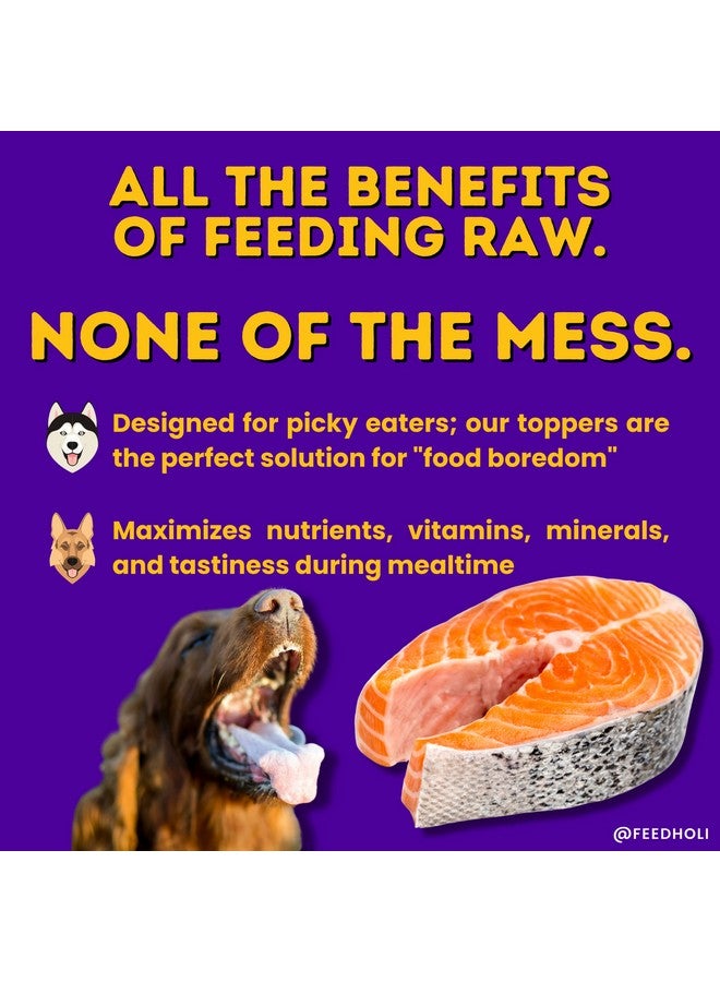 هولي طعام الكلاب من سمك السلمون المجفف بالتجميد من هولي - مع أوميغا 3 و6 - مكون واحد، سمك السلمون البري الصالح للأكل - معزز نكهة طعام الكلاب للكلاب الانتقائية - طبيعي 100% - 1.5 أونصة - Image 3