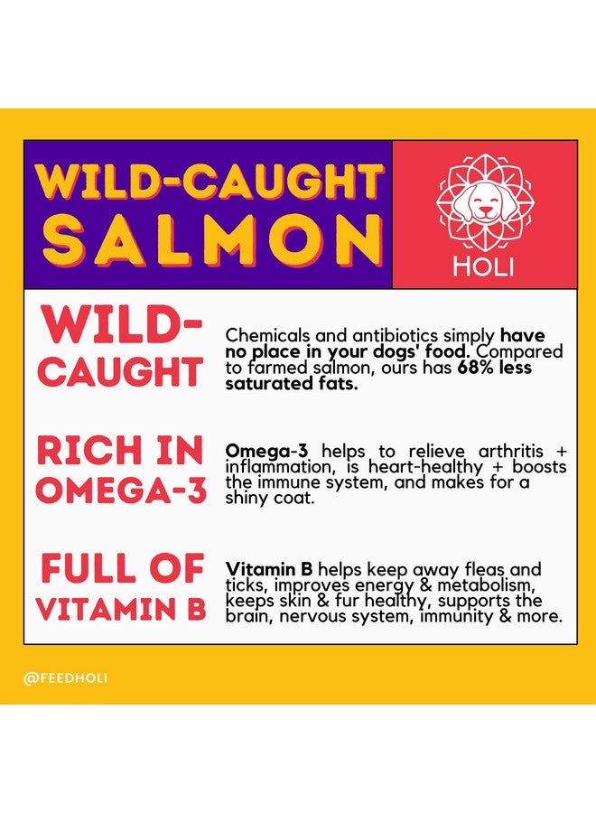 هولي طعام الكلاب من سمك السلمون المجفف بالتجميد من هولي - مع أوميغا 3 و6 - مكون واحد، سمك السلمون البري الصالح للأكل - معزز نكهة طعام الكلاب للكلاب الانتقائية - طبيعي 100% - 1.5 أونصة - Image 5