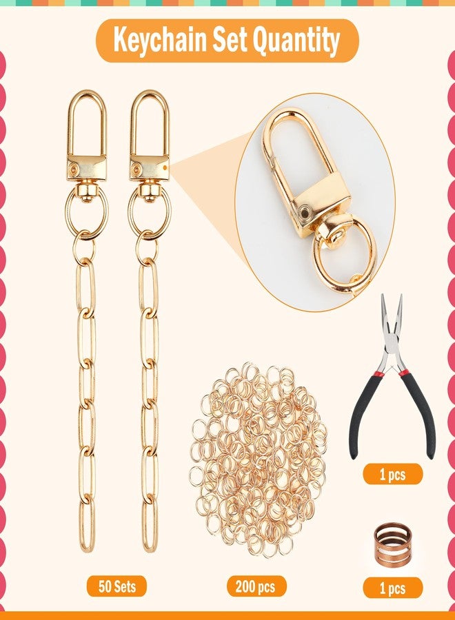 Starry 252Pcs Keychain Making Kit 50 Set Keychain Clips DIY Bag Charm Kit with Extender Chain Bulk 200 Jump Ring for Jewelry Bags Accessories DIY Craft Supplies - Image 2