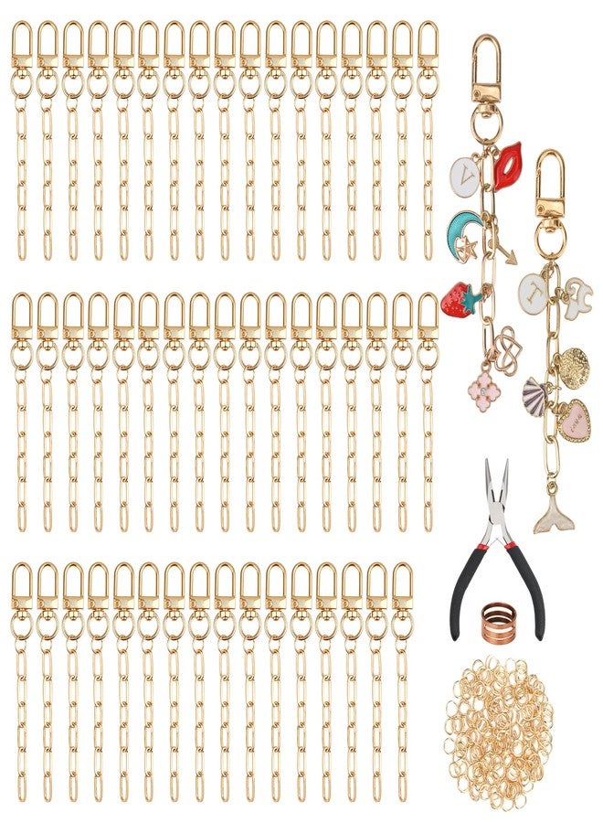 Starry 252Pcs Keychain Making Kit 50 Set Keychain Clips DIY Bag Charm Kit with Extender Chain Bulk 200 Jump Ring for Jewelry Bags Accessories DIY Craft Supplies - Image 1