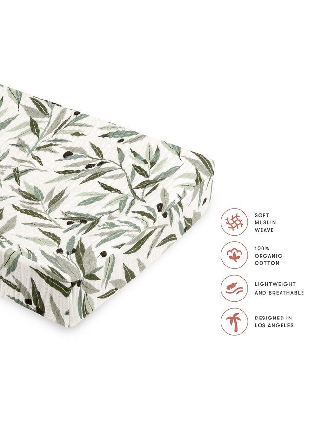 Babyletto 100% Quilted Organic Cotton Changing Pad Cover, GOTS-Certified, Fitted 360°, Ultra-Soft and Breathable Muslin - Olive Branches - Image 3