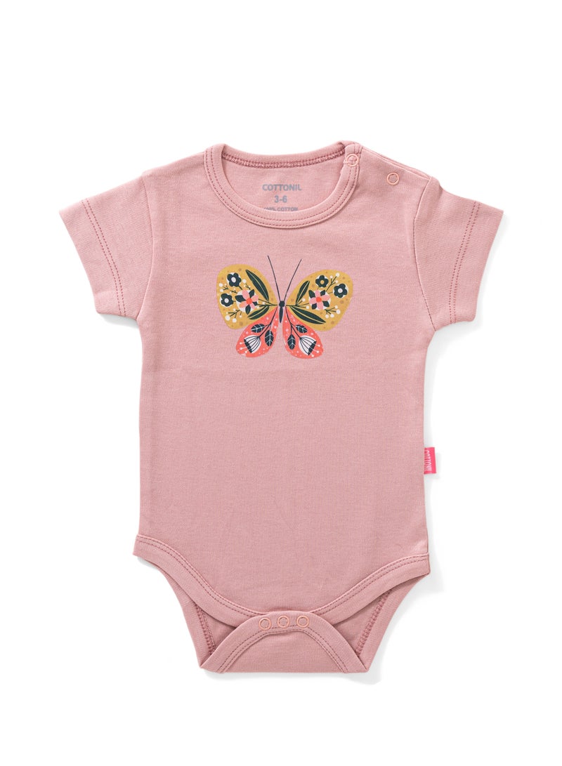 COTTONIL Pack of 6 Cotton Half Sleeve Bodysuit for Baby - Image 5