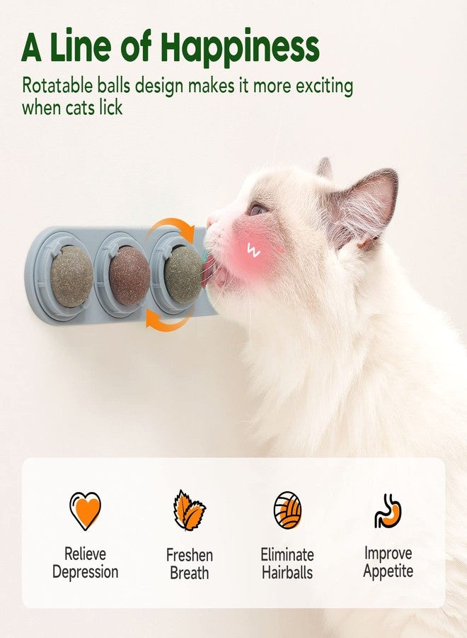 Potaroma 4 Catnip Silvervine Ball Toys, Extra Cat Energy Ball, Edible Cats Lick Kitten Chew, Teeth Cleaning Dental Wall Treats, Concentrated Flavor for All Breeds - Image 3