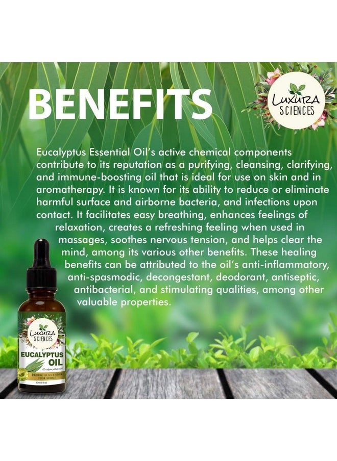 Luxura Sciences Natural Eucalyptus Oil 15Ml  - Image 4