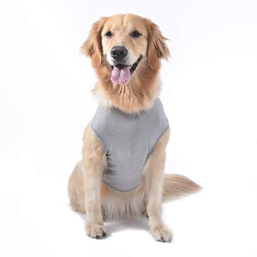 STAR WARS Fetch for Pets Star Wars Gray Yoda Tank Dog T-Shirt, X-Small - Image 3