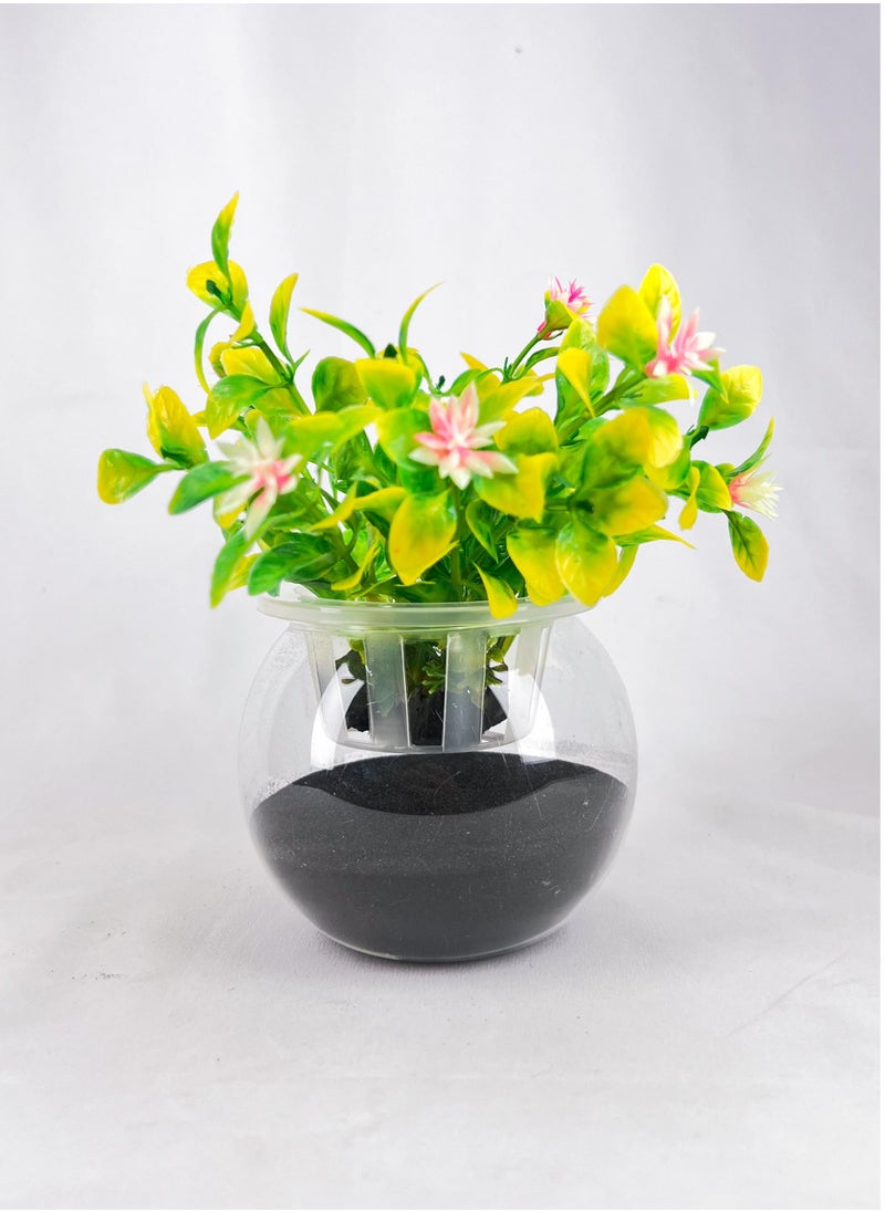 vsell24 Elegant Glass Aquarium Bowl Set with Built-in Plant Holder Lids – Available in 4, 4.5, and 6 Inch Sizes  - Image 3