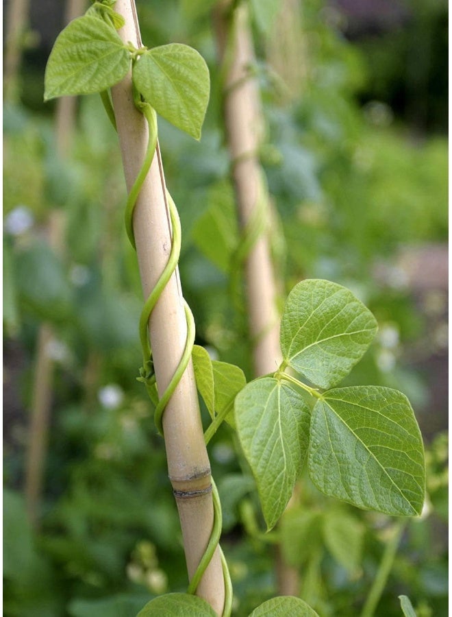 Egardenkart Bamboo Pole/Plant Support Stake Stick Garden Stake  - Image 3
