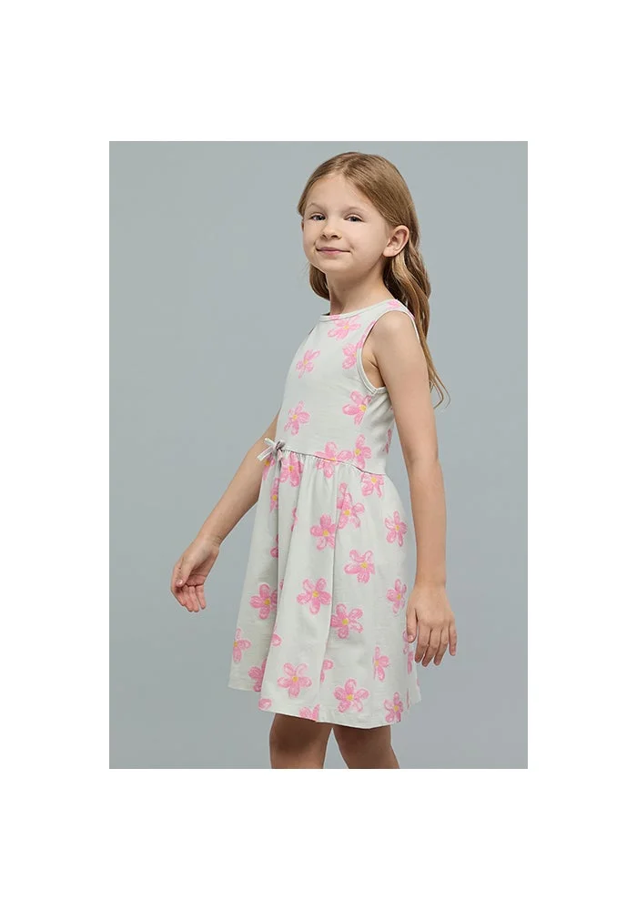 R&b Printed Sleeveless A-Line Dress