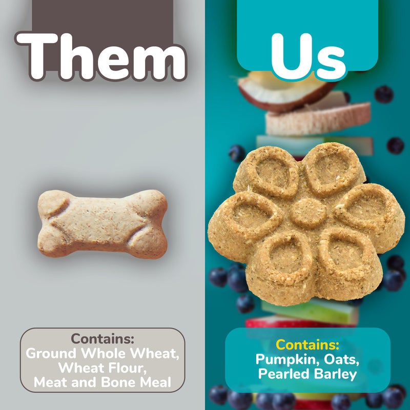 Fruitables Biggies Dog Biscuits, Pumpkin Treats for Dogs, Healthy Doggie Biscuits, Crunchy Treats, No Wheat, Corn or Soy, Made in The USA, Almond Butter and Coconut Flavor, 16oz - Image 3