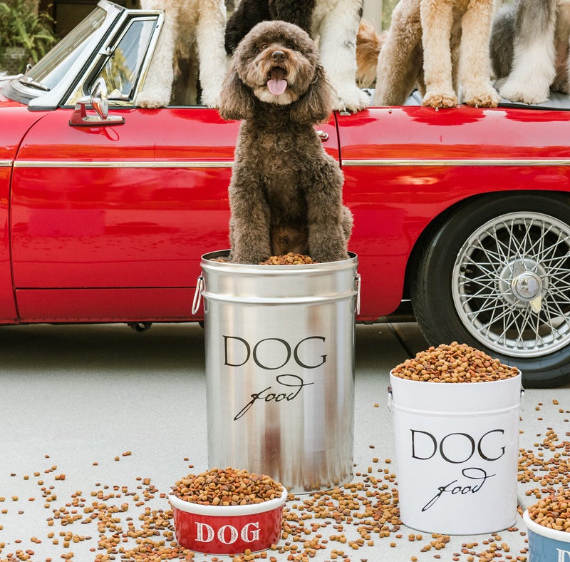 Harry Barker Classic White Dog Food Storage Canister â€“ Large, Airtight Stainless Steel Pet Food Container, Holds Up to 40 lbs Dry Dog Food, Kitchen Counter & Pantry Storage - White - Image 5