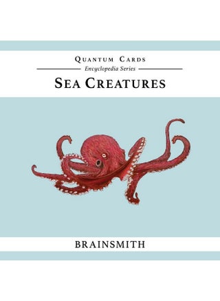 Brainsmith Quantum Flashcards, Sea Creatures - Learning Flash Card Set for Toddlers and Kids (up to 8 years) for Brain Stimulation and Development - pzsku/ZE8AA9D569BFE40EEC310Z/45/1743076688/a36292d4-7c36-4554-a4e6-958fa4632acb