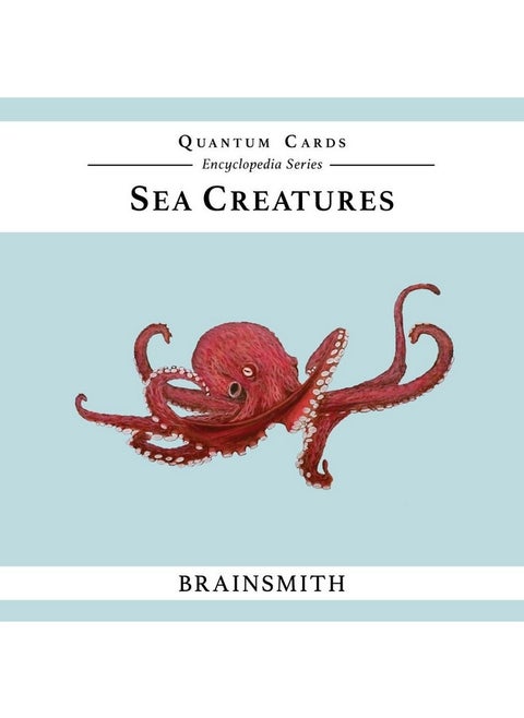 Brainsmith Quantum Flashcards, Sea Creatures - Learning Flash Card Set for Toddlers and Kids (up to 8 years) for Brain Stimulation and Development