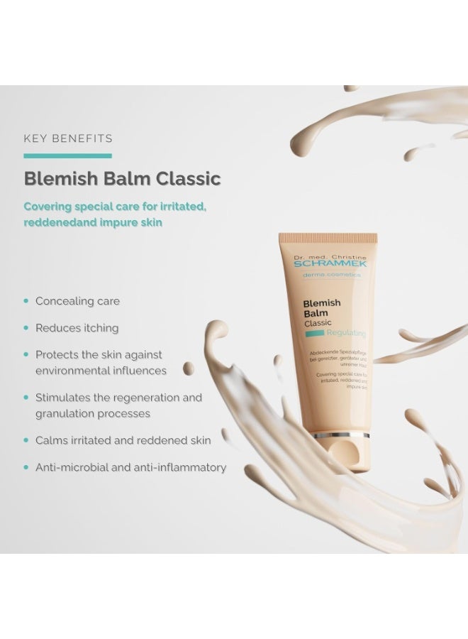 Schrammek Blemish Balm Light 14 fl oz Covering Special Care for Irritated Reddened Impure Skin The Original since 1967 BB Cream Tinted Face Moisturizer Facial Skin Care Dr - Image 2