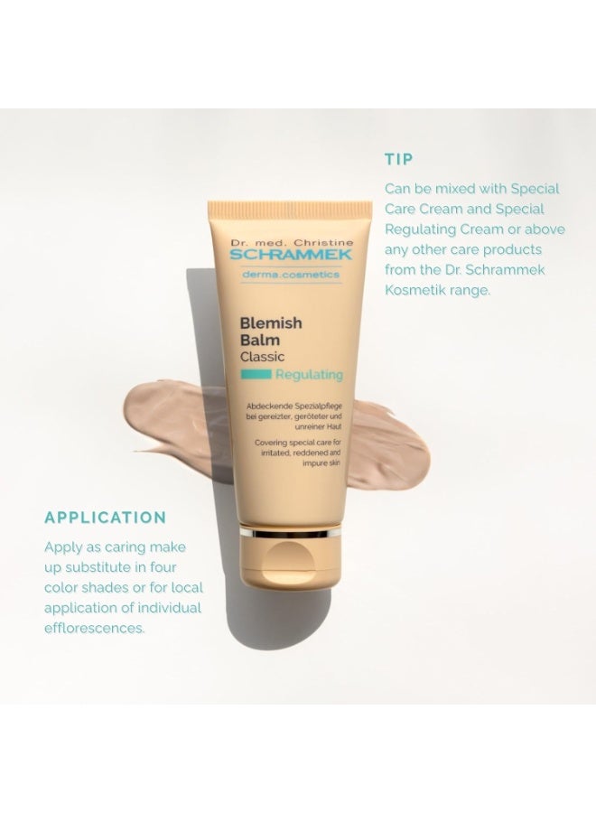 Schrammek Blemish Balm Light 14 fl oz Covering Special Care for Irritated Reddened Impure Skin The Original since 1967 BB Cream Tinted Face Moisturizer Facial Skin Care Dr - Image 3