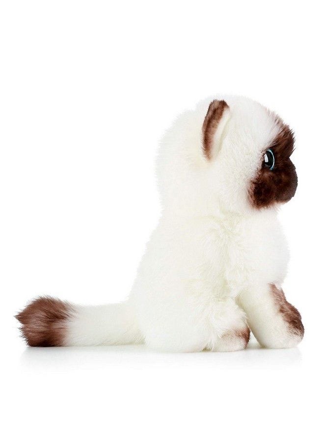 AngelGift - Cuddly Emulation Siamese Cat Stuffed Animals Toy Cushion Doll Siamese Cat Plushie Toys Best Birthday Christmas Fiesta Great Gifts For The Children Kids Baby Toys (8" /20Cm) - Image 1