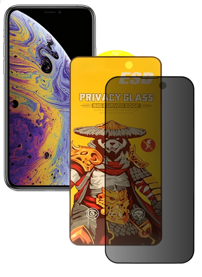 ESD Tempered Dustproof Privacy Glass Screen Protector Compatible For iPhone XS Max - Image 1