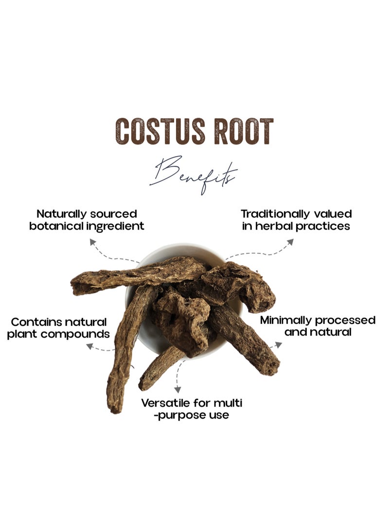 OGOC Costus Root Qust Al Hindi Root Saussurea Costus Dried Aromatic Root Traditional Spice Root Culinary Herb For Tea Infusions Cooking Seasoning - Image 2