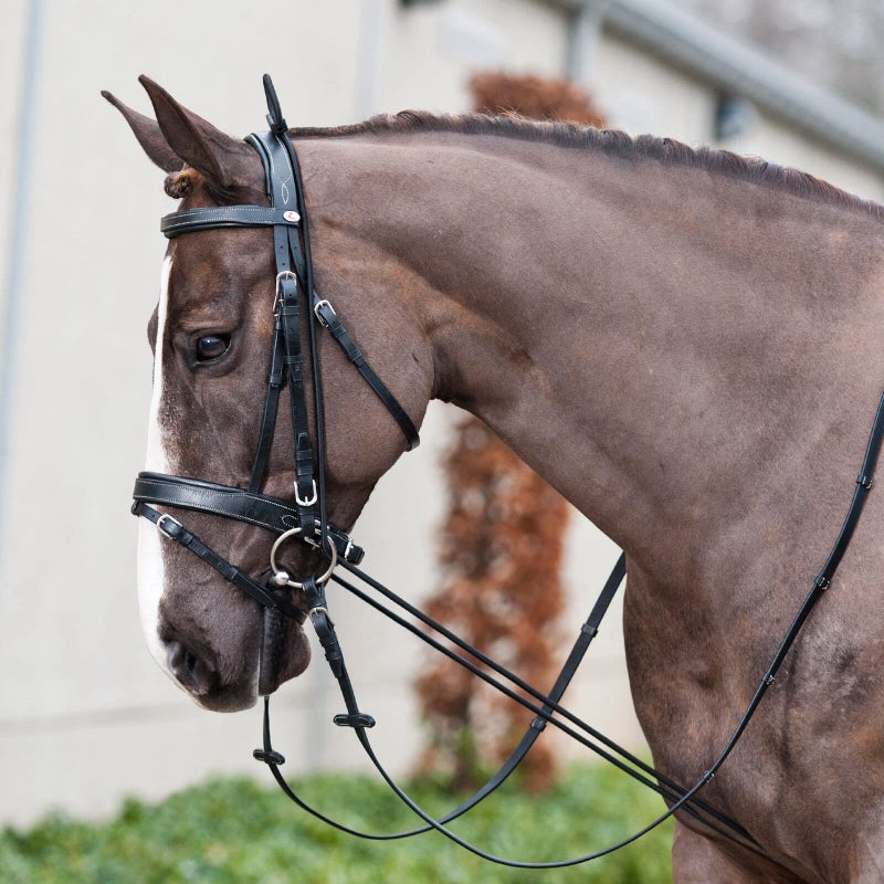 HORZE 10' Adjustable Elastic Neck Stretcher | Training Aid for Horses - Black - Horse - Image 5
