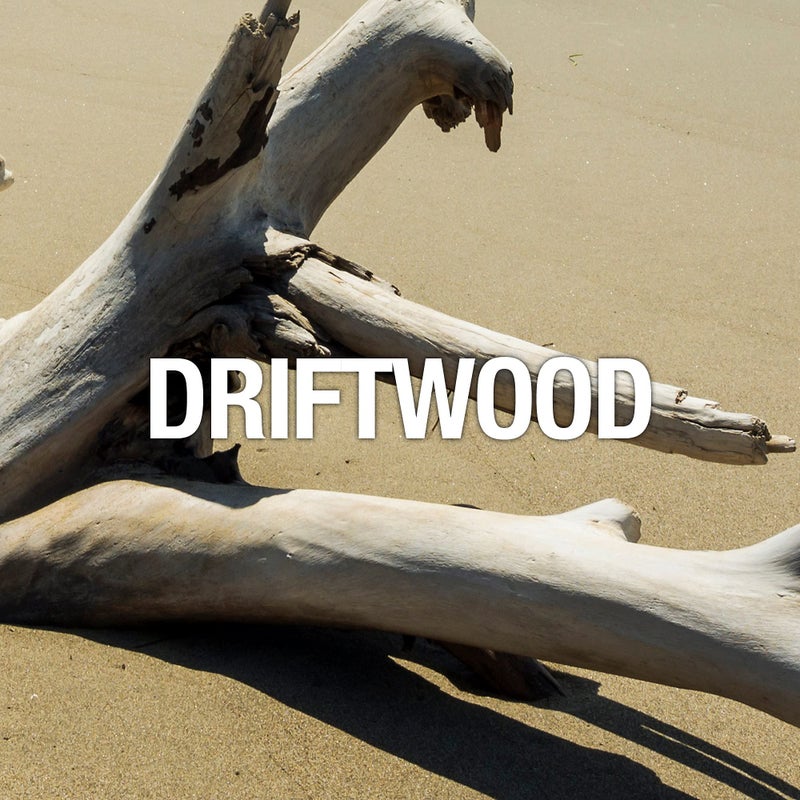 Curve Wave Eau De Toilette Spray, Perfume for Women, Gift for Her, 3.4 fl oz - Image 5