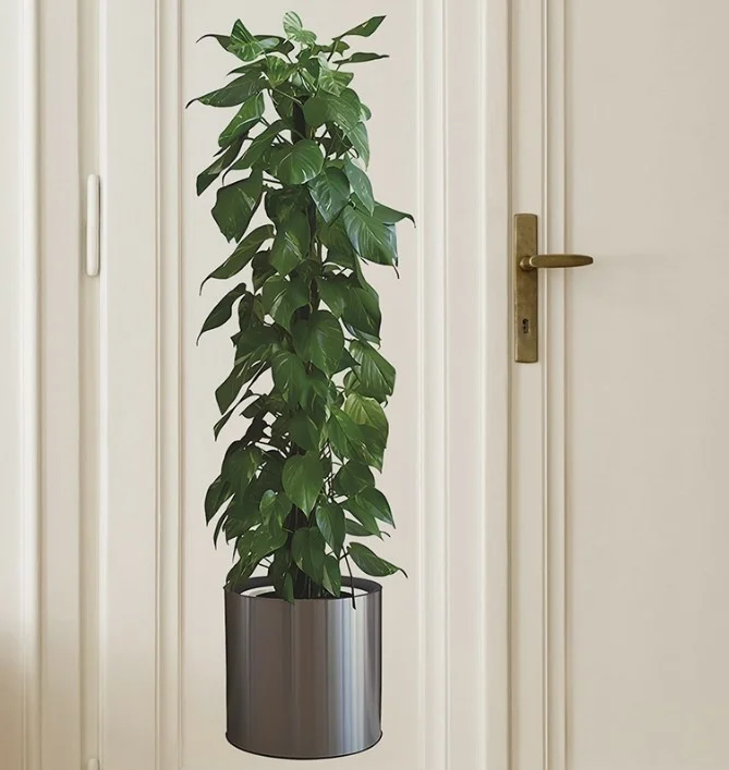 Safestore Potted Flower Wall Decal Home Decoration Wall Decal