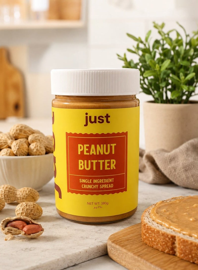 جست Just Snacks - زبدة فول سوداني نقية 100% - مكون واحد، قوام مقرمش - 380 جم - Image 5