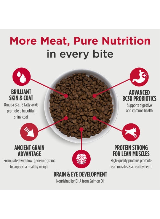 Nulo Frontrunner Puppy Premium Chicken, Oats & Turkey Patented BC30 Probiotics Dry Dog Food 2.27kg - Image 3