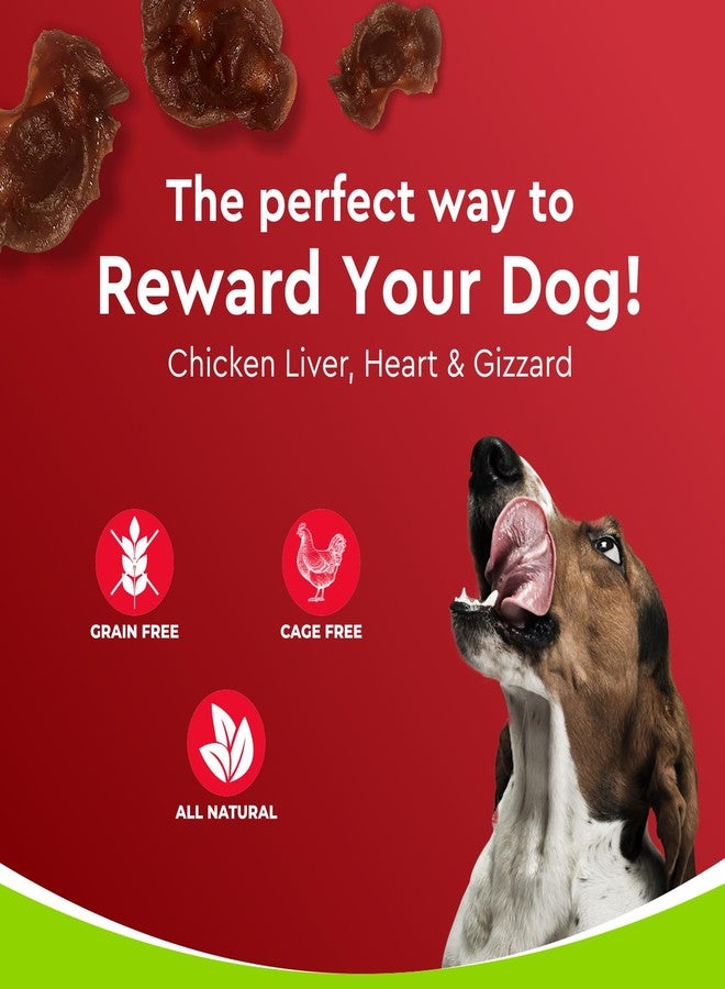Drools Puppy & Adult Dog Treats Dehydrated Chews Giblets 70g | Real Chicken Flavour | Vital Nutrients | Digestive Health | Protein-Packed | Tasty & Nutritious - Image 4