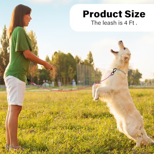 ZHOMA 4/5/6 FT Chew Proof Dog Leashes with Comfortable Handle, Steel Cable Lead for Control Large or Medium Dogs Walk and Train, Heavy Duty with Rotate Clasp and Double Buckle - Image 4