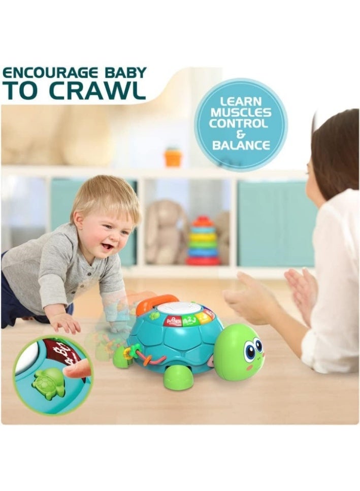 طفل نقي ألعاب أطفال من عمر 6 إلى 12 شهرًا، ألعاب أطفال موسيقية على شكل سلحفاة تزحف من عمر 12 إلى 18 شهرًا، لعبة تعليمية للتعلم المبكر مزودة بالضوء والصوت، لعبة عيد ميلاد للأطفال الصغار من عمر 7 إلى 11 شهرًا، من عمر سنة إلى سنتين - Image 2