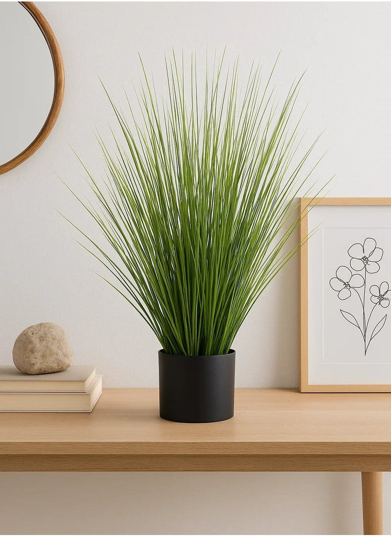 LOFT GRASS,BUNCH,D72XH74CMS,GREEN-168624  - Image 1