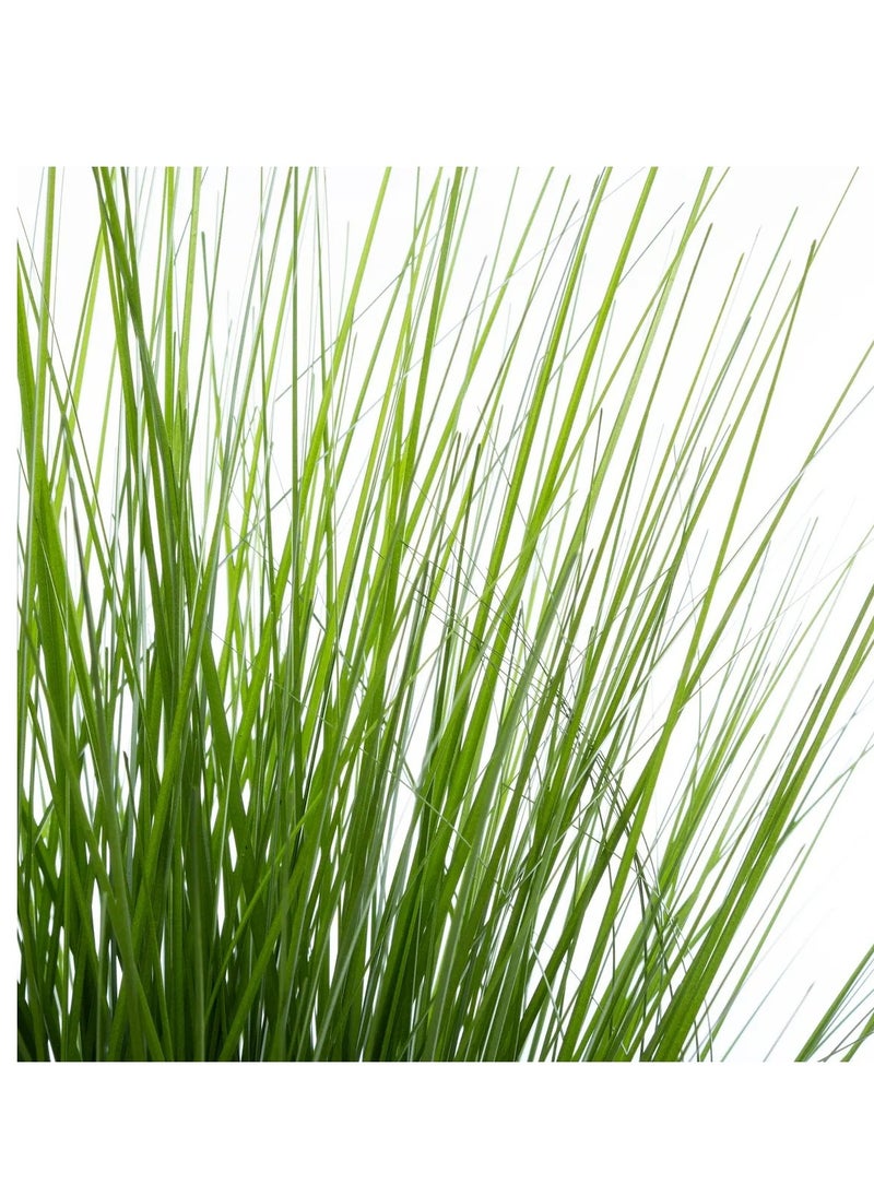 LOFT GRASS,BUNCH,D72XH74CMS,GREEN-168624  - Image 2