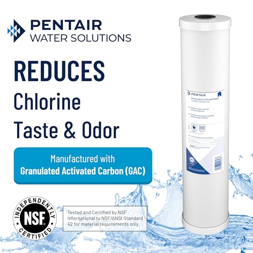 Pentek Pentair Pentek RFC-BB Big Blue Carbon Water Filter, 10-Inch, Whole House Heavy Duty Radial Flow Carbon Replacement Cartridge with Granular Activated Carbon (GAC) Filter, 10" x 4.5", 25 Micron - Image 3