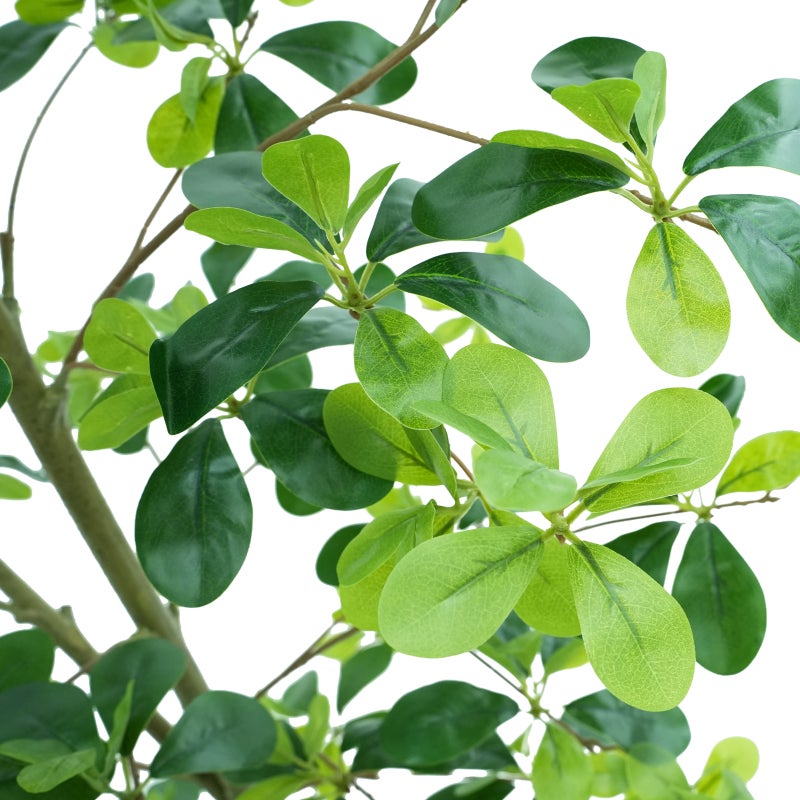 شاربدو نبات داخلي صناعي، بطول 180 سم، مناسب لتزيين المنزل والمكتب. - Image 4