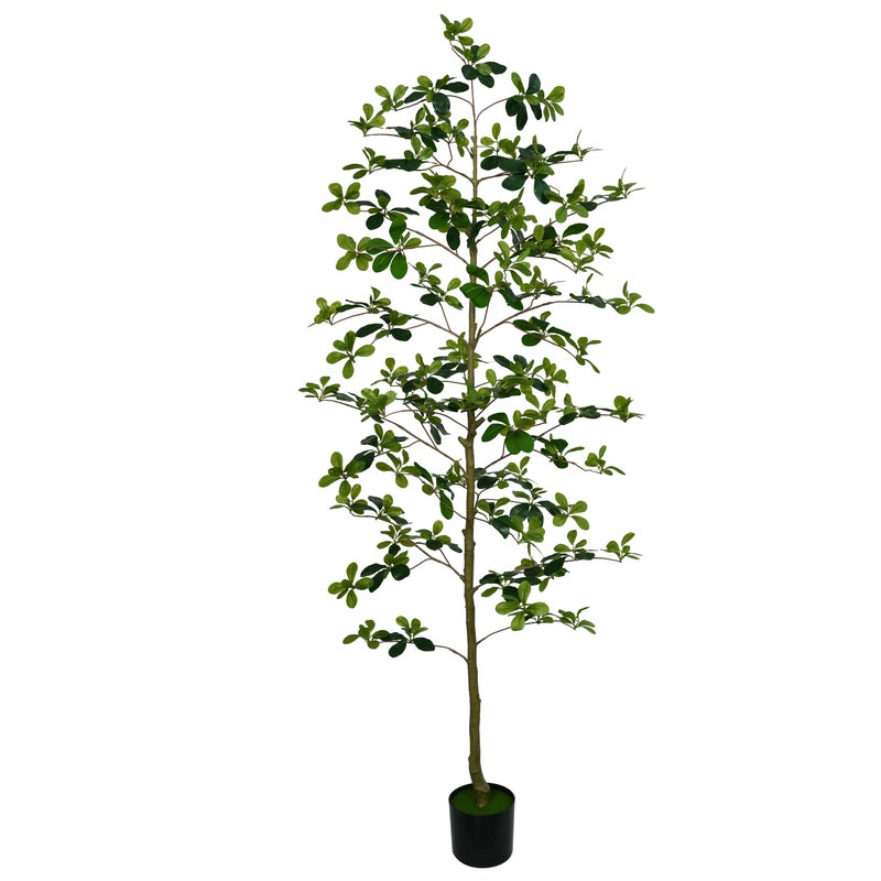 شاربدو نبات داخلي صناعي، بطول 180 سم، مناسب لتزيين المنزل والمكتب. - Image 1