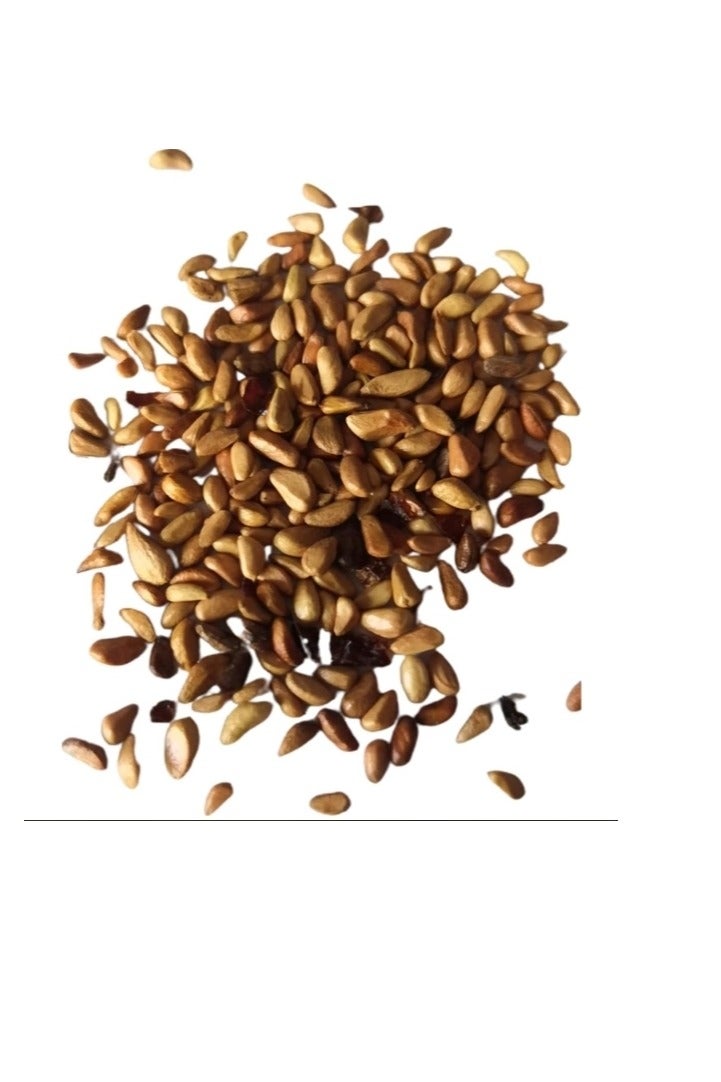 500Pcs Climbing Rose Seeds Beige Yellow Rose - Image 2