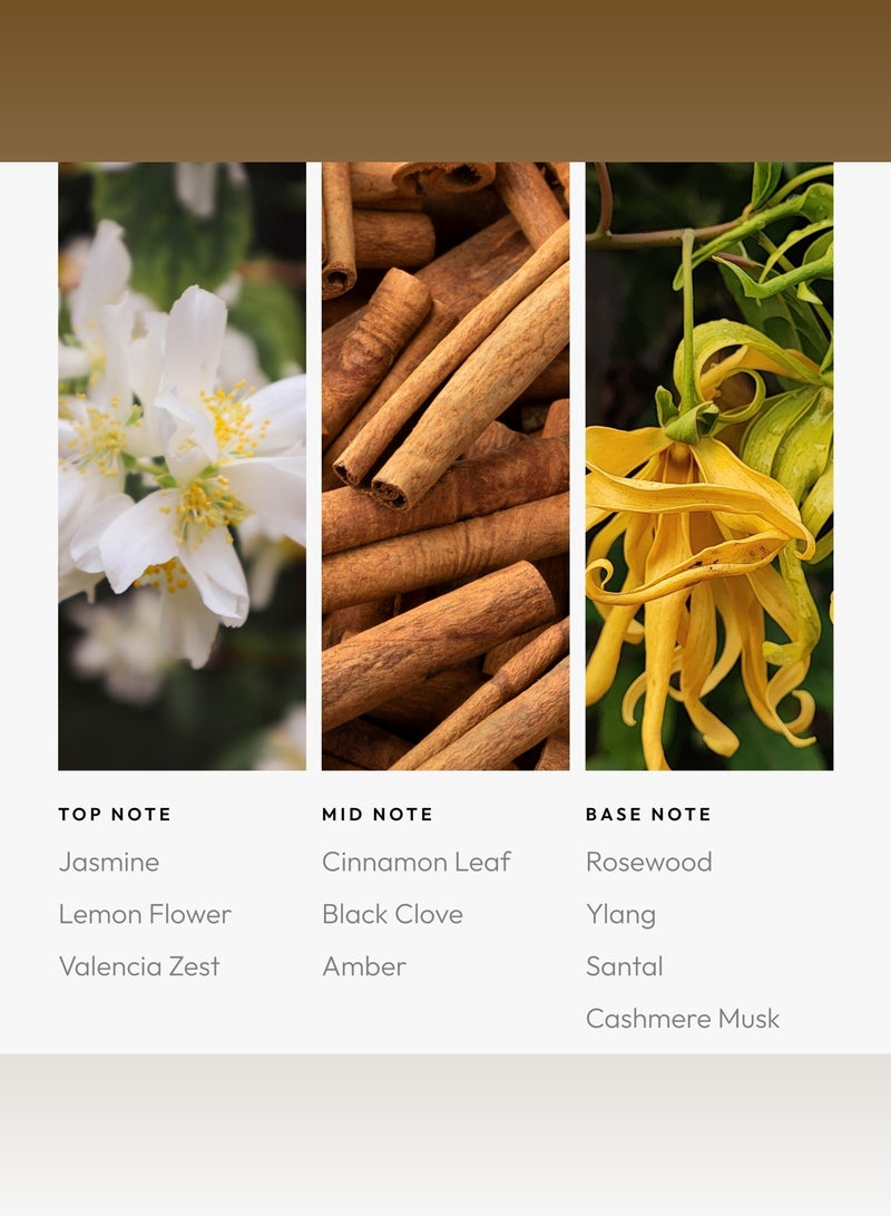 AROMA360 Sweet Caroline Pro-Pod Oil Blend - Hotel Inspired for Luxury Essential Oil Diffusers - Aromatherapy Scent Diffuser Oil - Valencia Zest, Black Clove, and Santal  - Image 4