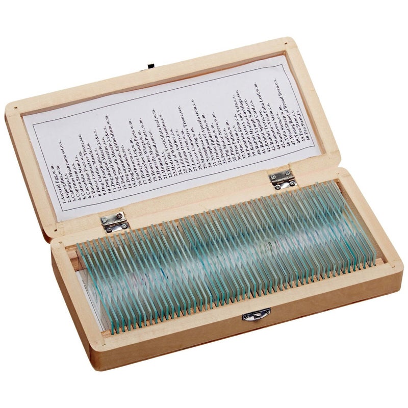 AmScope AmScope PS50A Prepared Microscope Slide Set for Basic Biological Science Education 50 Biology and Pathology Slides Includes Fitted Wooden Case  - Image 2