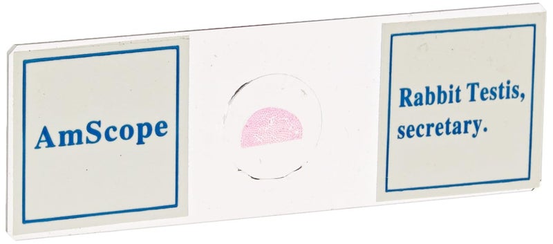 AmScope AmScope PS50A Prepared Microscope Slide Set for Basic Biological Science Education 50 Biology and Pathology Slides Includes Fitted Wooden Case  - Image 4